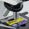 Microscopio digital con pantalla táctil LCD YR05782 - Imagen 7