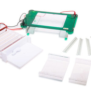 Electroforesis horizontal YR03420