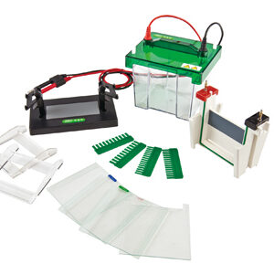 Celda de Electroforesis Vertical Mini-Protean YR03425