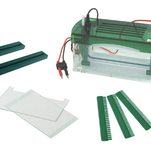 Tanque de Electroforesis Vertical YR03428