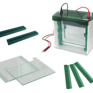 Celda de Electroforesis en Gel Vertical YR03429