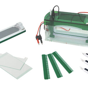 Electroforesis Vertical Rápida SSR YR03430