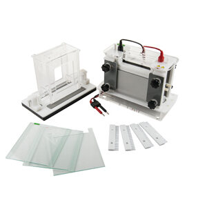 Tanque de Electroforesis Vertical YR03433